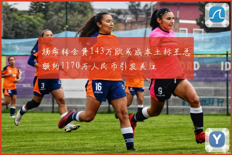 杨希转会费143万欧或成本土标王总额约1170万人民币引发关注