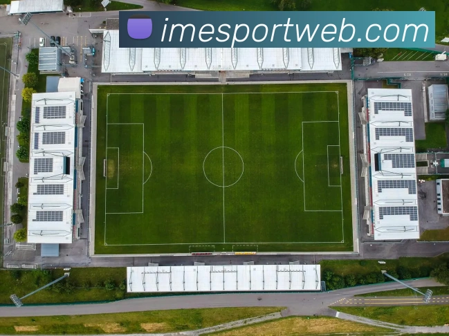 IM电竞平台生态图