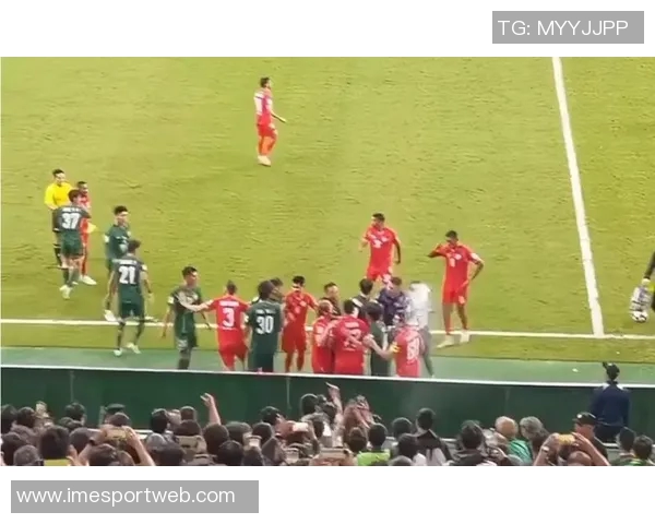 比甲比赛因球迷投掷水杯击中主裁在第87分钟意外中止引发热议